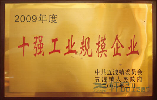 2009年2月，公(gōng)司被諸暨市五洩鎮人 民(mín)政府評為(wèi)“十強工(gōng)業規模企業”